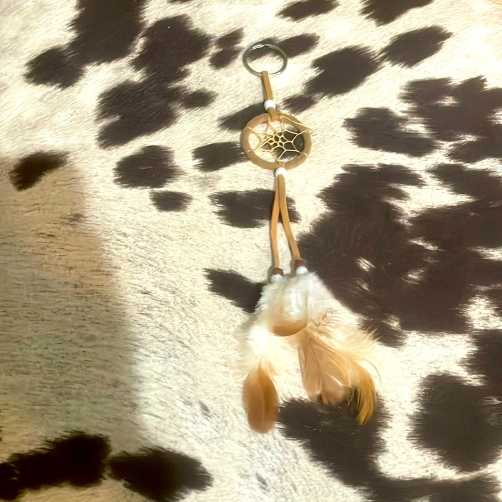 Dream Catcher